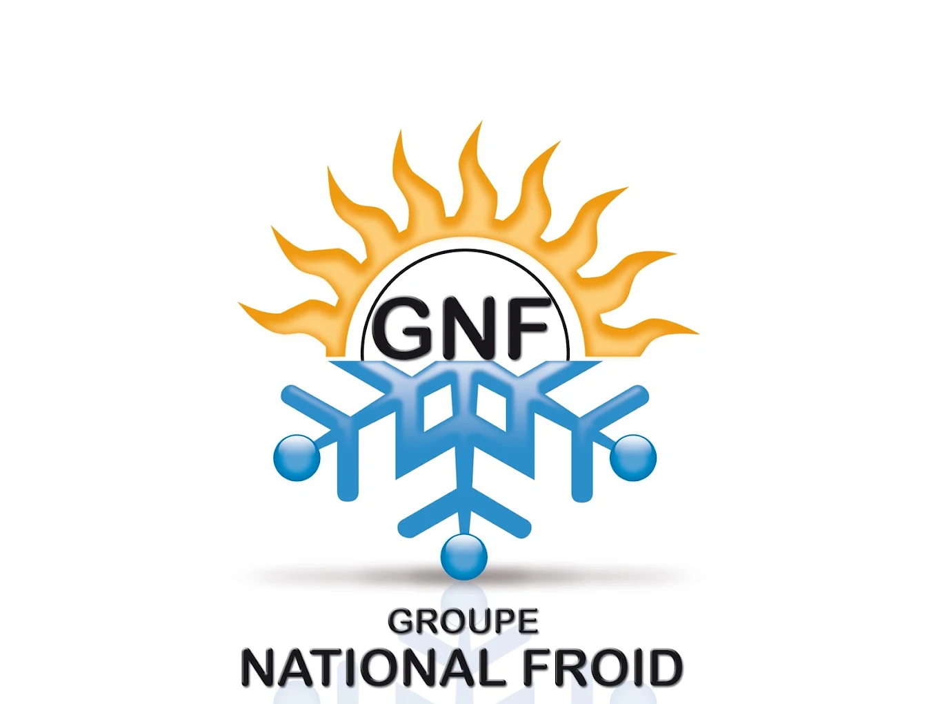 NATIONAL FROID